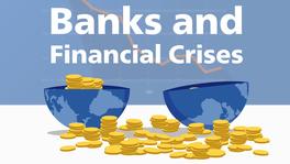 flashMOOCs University of Bern, Thumbnail to the video "Banks and Financial Crises"