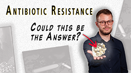 flashMOOCs University of Bern, Thumbnail to the video "Antibiotic Resistance – Could Metals Be the Answer?"