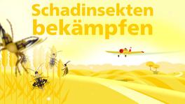 flashMOOCs der Universität Bern, Vorschaubild zum Video "Schadinsekten bekämpfen - Der Maiswurzelbohrer"